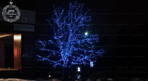 Подсветка деревьев гирляндами нить Фитнес-клуб «Fresh Fitness» Санкт-Петербург