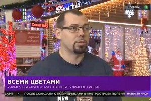 Учимся выбирать  уличные гирлянды