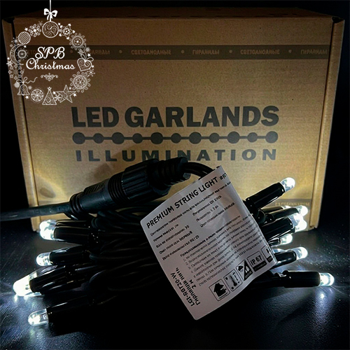 Уличная гирлянда нить PREMIUM (20LED, 2м, IP67, черный провод каучук) белый