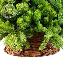 Корзина для елки (ротанг, 30х65см, 27х60см, 24х50см)