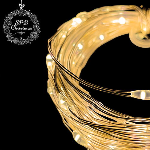 Светодиодная гирлянда нить «Роса» от USB (100LED, 10м) теплый белый